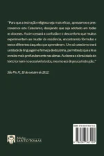 Catecismo Menor de São Pio X - Imagem 2